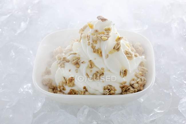 Ice cream with muesli — Stock Photo