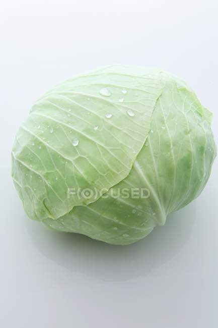 Cabbage with drops of water — Stock Photo