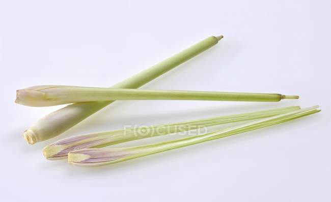 Fresh lemongrass stalks — Stock Photo