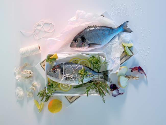 Daurades de mer fraîches avec ingrédients — Photo de stock