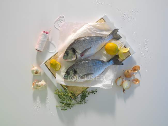 Pescado besugo con limones - foto de stock
