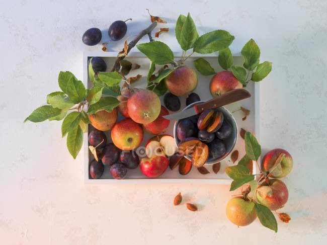 Red ripe apples and damsons — Stock Photo