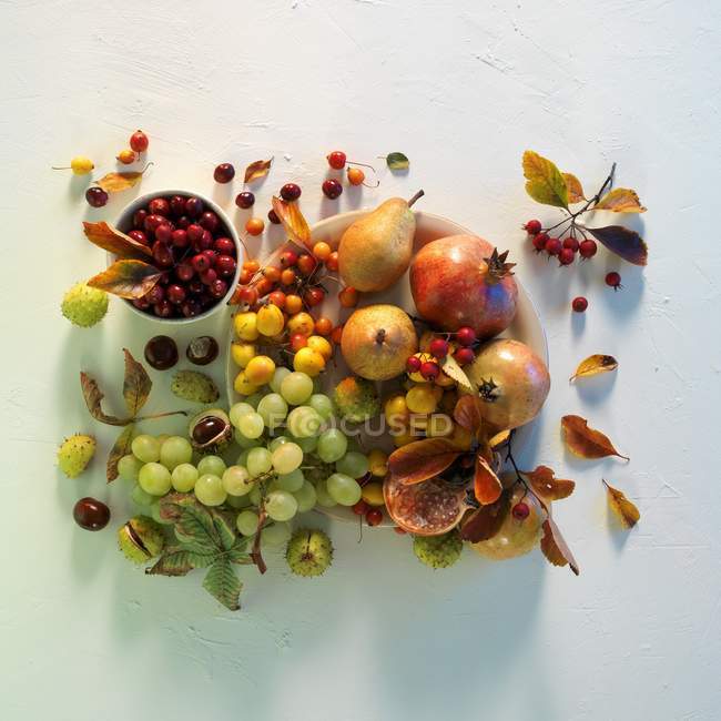 Тарілка з виноградом і грушами — стокове фото