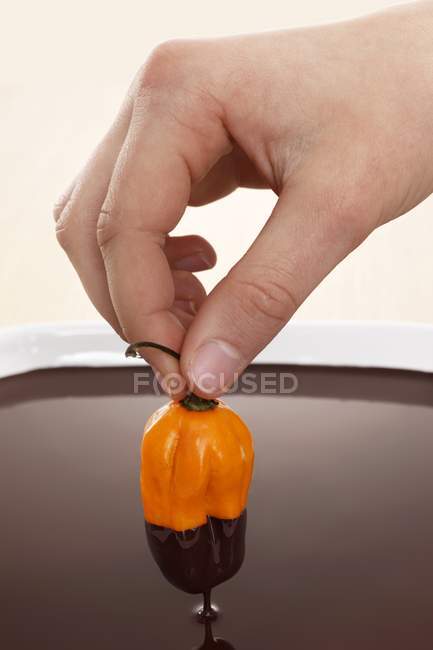 Hand dipped yellow chili in chocolate sauce — Stock Photo