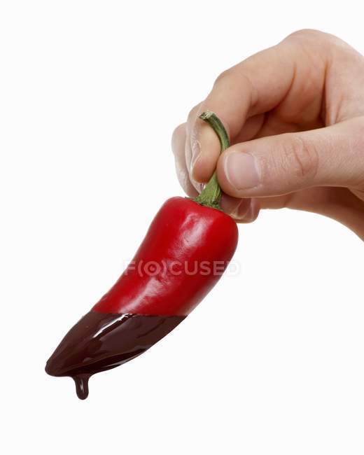 Mão segurando uma pimenta pingando com chocolate derretido no fundo branco — Fotografia de Stock