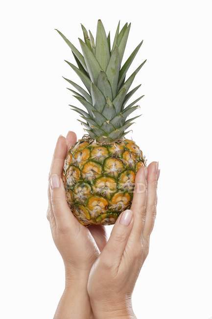 Mains tenant bébé ananas — Photo de stock