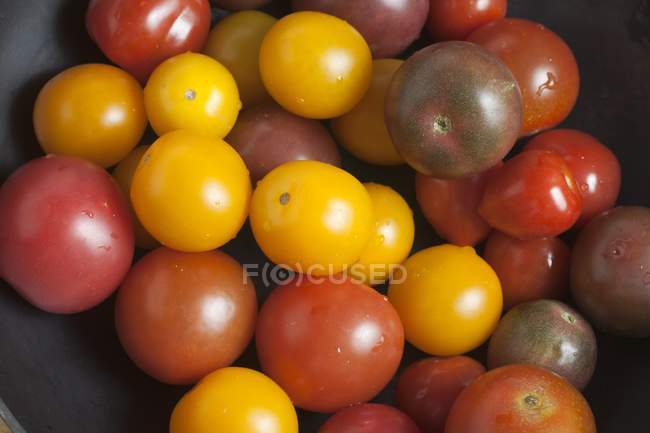 Bunte Mini-Erbstück-Tomaten — Stockfoto