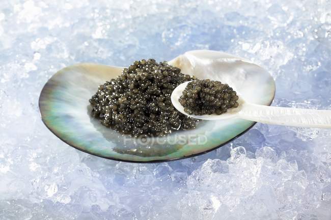 Caviar preto com casca na colher de pérolas — Fotografia de Stock