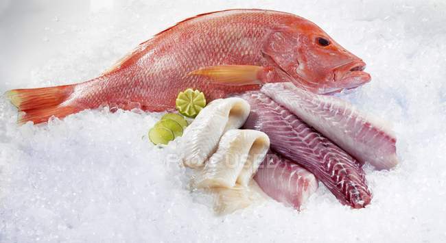 Parrot fish and Kingklip fillets — Stock Photo