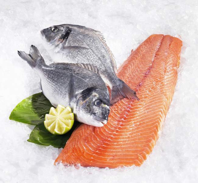 Fresh Dorades and salmon fillet — Stock Photo