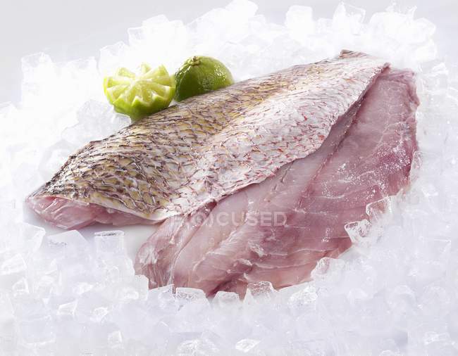 Fresh Red Snapper fillets — Stock Photo