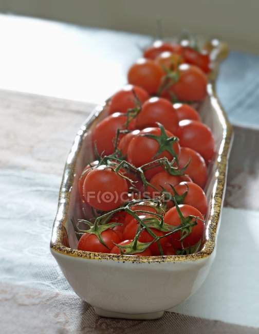 Red tomatoes on stem — Stock Photo