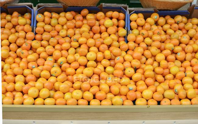 Montón de mandarinas frescas - foto de stock