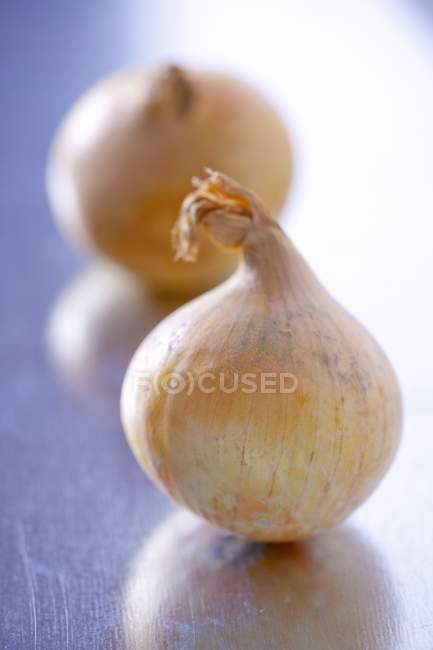Due cipolle intere fresche — Foto stock