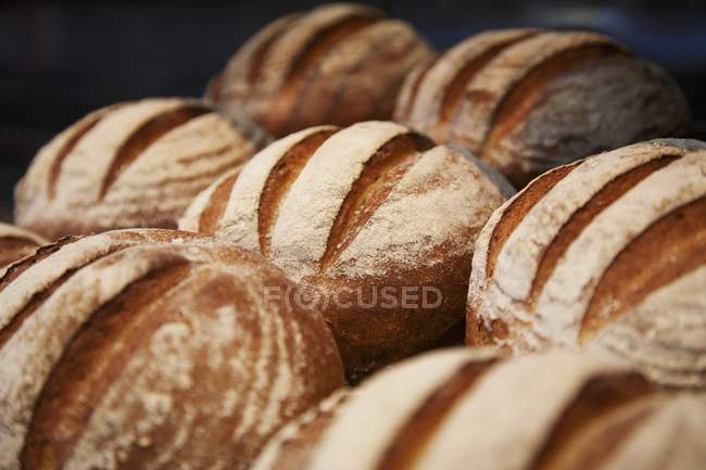 Panes frescos de pan - foto de stock