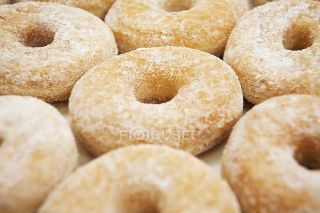 Sugar donuts, close-up — Stock Photo
