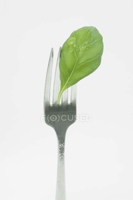 Feuille de basilic sur fourchette — Photo de stock