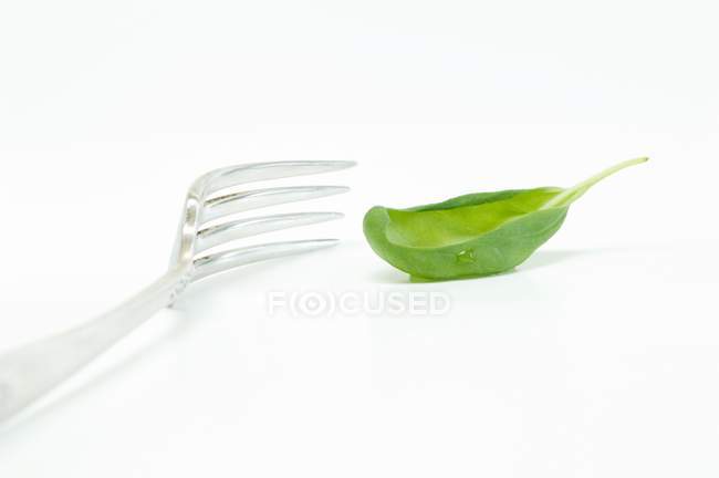 Foglia di basilico sulla forchetta — Foto stock