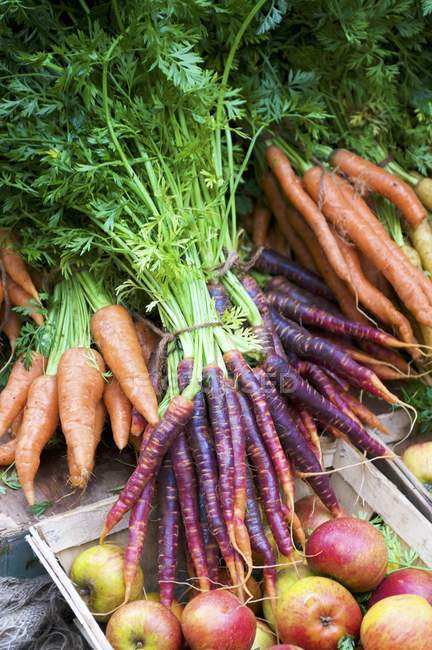 Fresh carrots and apples — Stock Photo