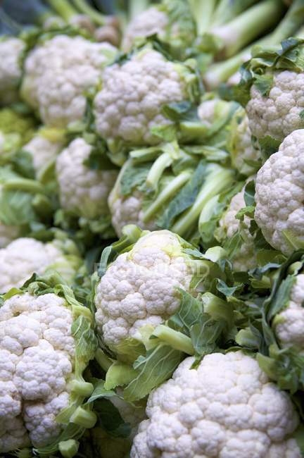 Cauliflower at the market, close-up — Stock Photo