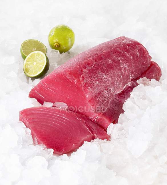Tuna fish fillet on ice — Stock Photo