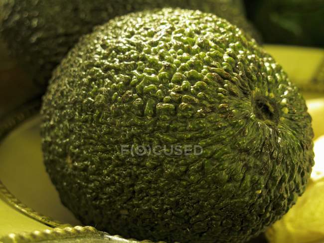 Fresh ripe avocado — Stock Photo