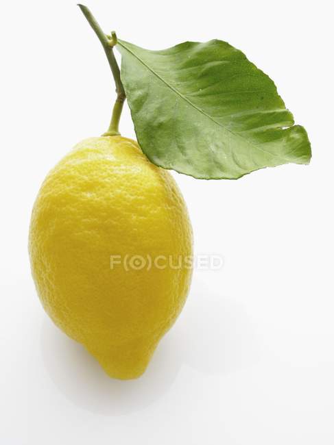 Свежий лимон с листом — стоковое фото
