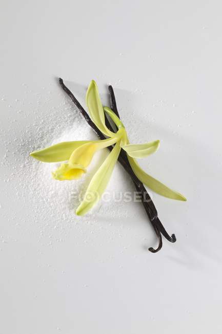 Vista de cerca de la flor de vainilla, vaina de vainilla y azúcar de vainilla - foto de stock