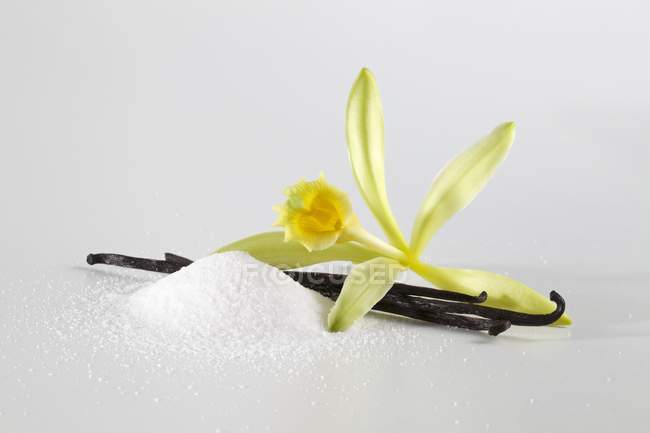 Vista ravvicinata di fiori di vaniglia, baccello di vaniglia e zucchero vanigliato — Foto stock