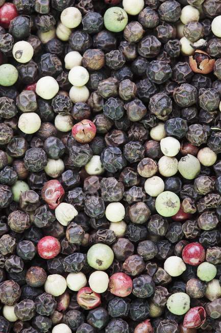 Mixed dried peppercorns — Stock Photo
