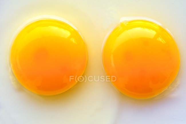 Two egg yolks — Stock Photo