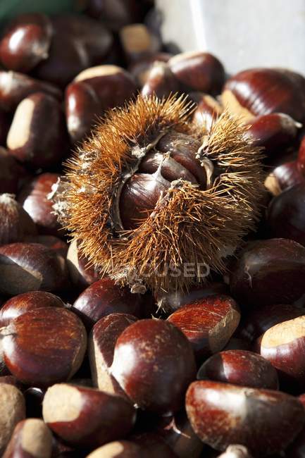 Chestnuts, One Still in Outer Shell — Stock Photo