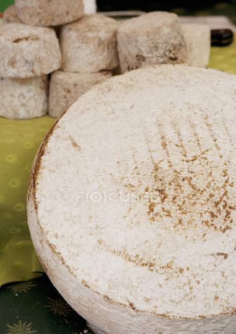 Whole Brie Cheese — Stock Photo
