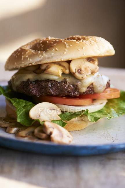 Burger di formaggio svizzero — Foto stock