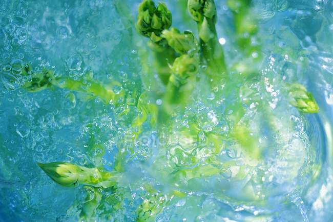 Frsh Green Asparagus — Stock Photo