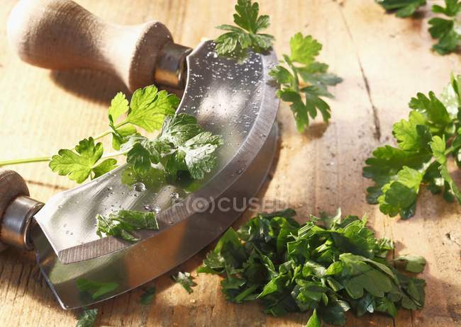 Salsa verde fresca — Fotografia de Stock