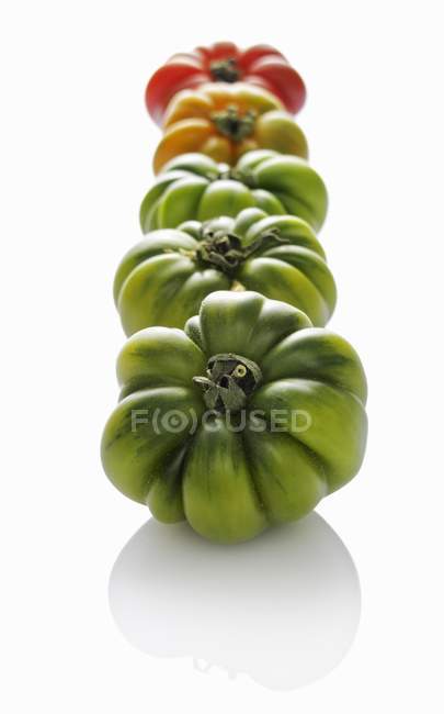Row of green tomatoes — Stock Photo