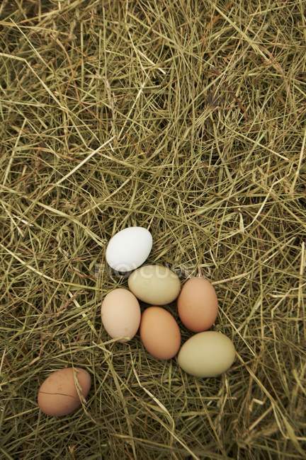 Коричневые и белые яйца — стоковое фото