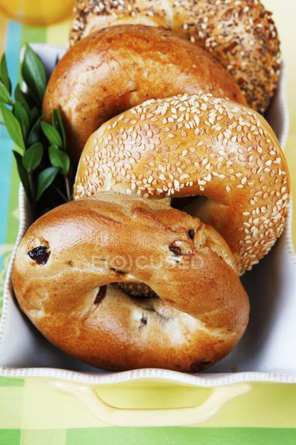 Assorted bagels on ray — Stock Photo