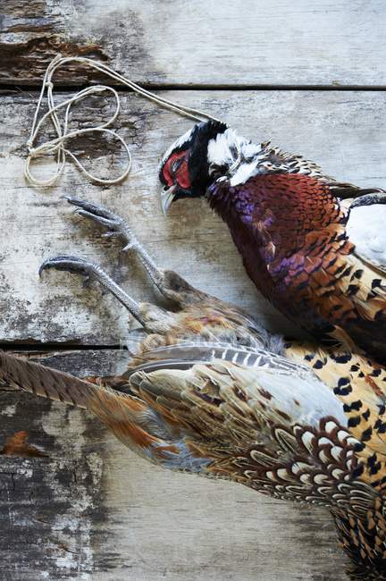 Крупный план двух мертвых фазанов на деревянной поверхности — стоковое фото