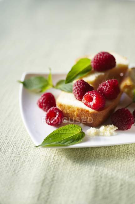 Pièce de gâteau Livre aux framboises fraîches — Photo de stock