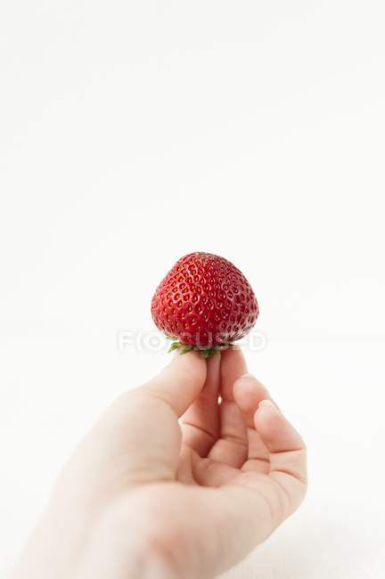 Hand hält Erdbeere — Stockfoto