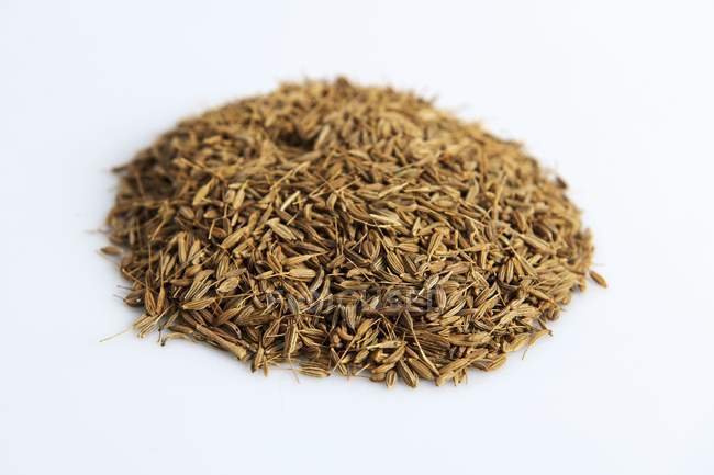 Una pila de semillas de hinojo sobre fondo blanco - foto de stock