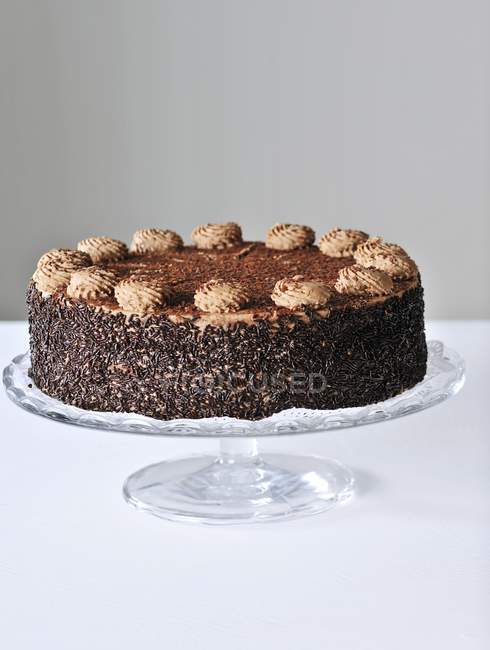 Торт з шоколадними нитками — стокове фото
