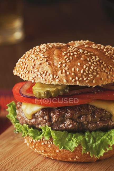 Tasty Burger with cheese — Stock Photo