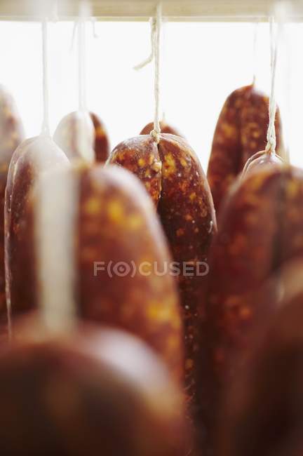 Curing Meat Hanging — Stock Photo