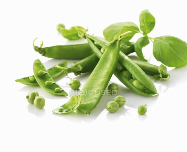 Peas with pods and basil — Stock Photo