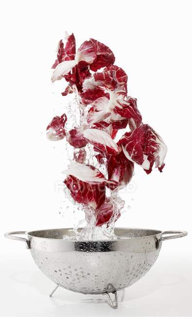 Radicchio being washed in a colander — Stock Photo