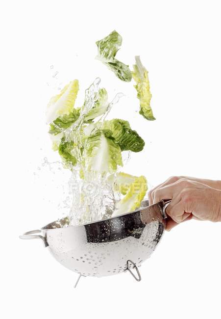 COS салату промивають — стокове фото