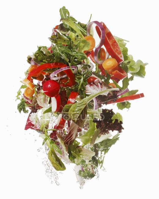 Ingrédients de salade lavés sur une surface blanche — Photo de stock